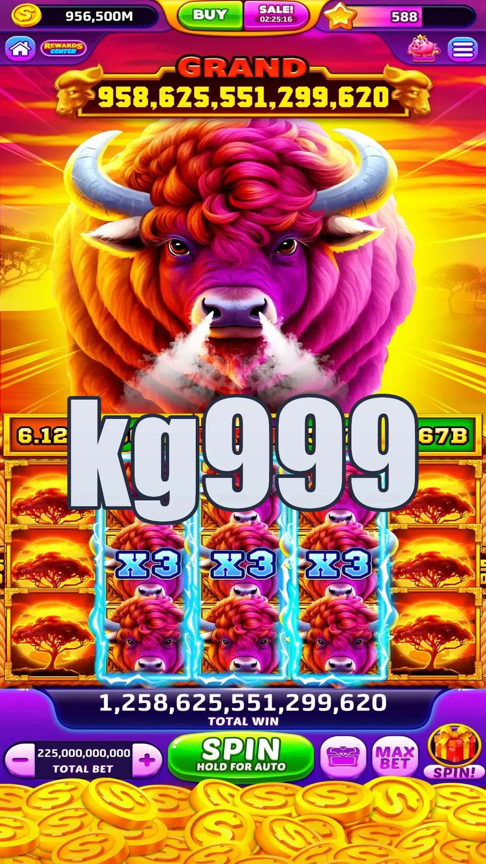 kg999 লগইন